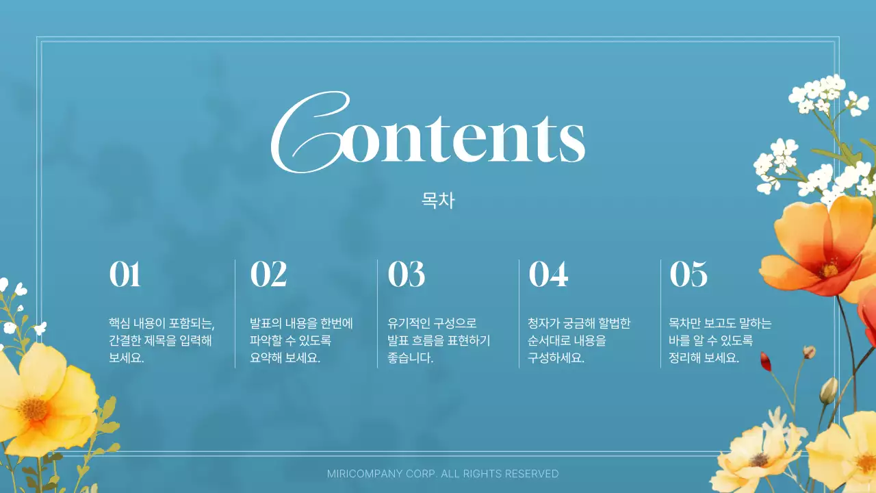 흰색과 주황색의 아기자기한 여름꽃 안내서