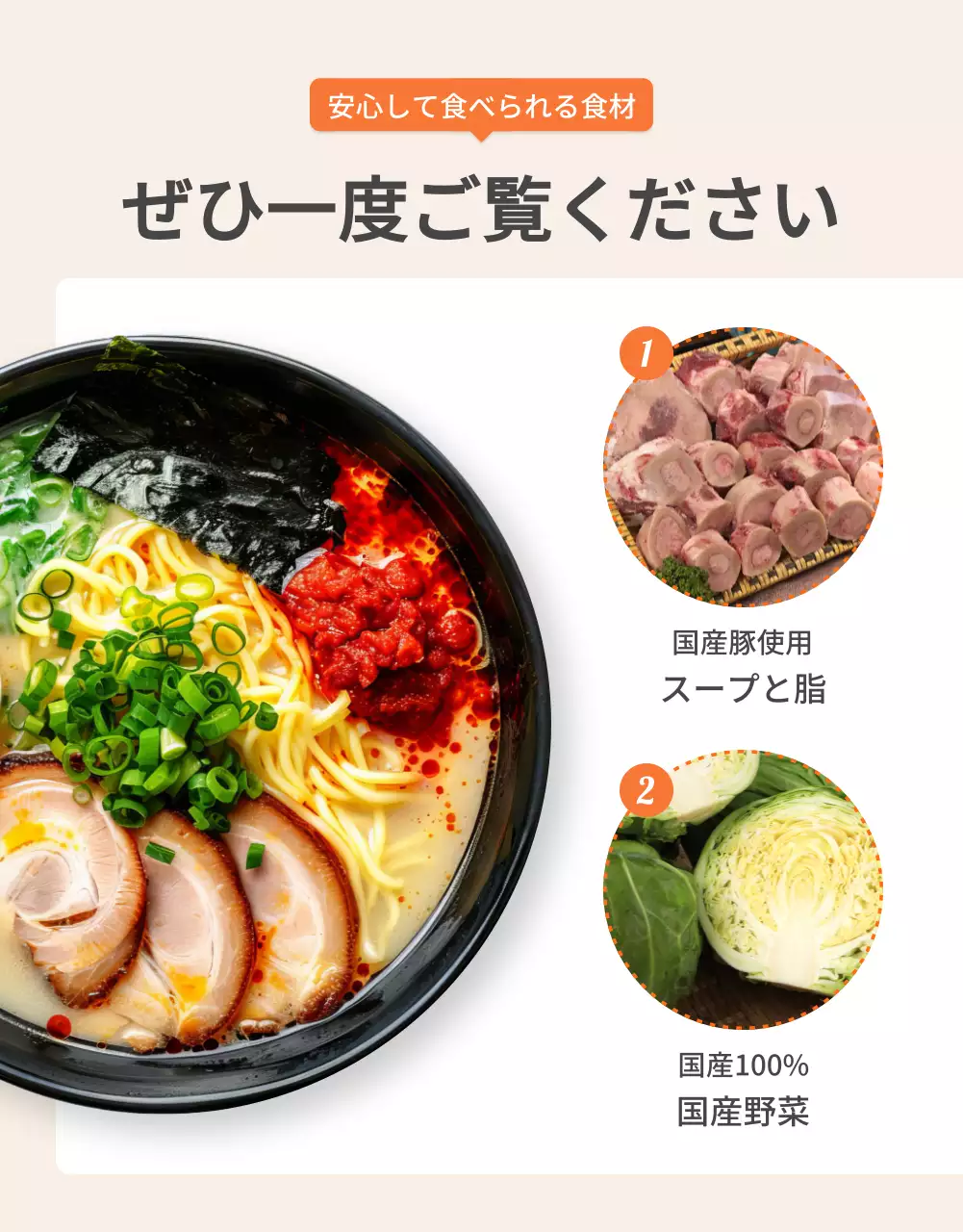 オレンジ シンプル ラーメン パンフレット 詳細ページ