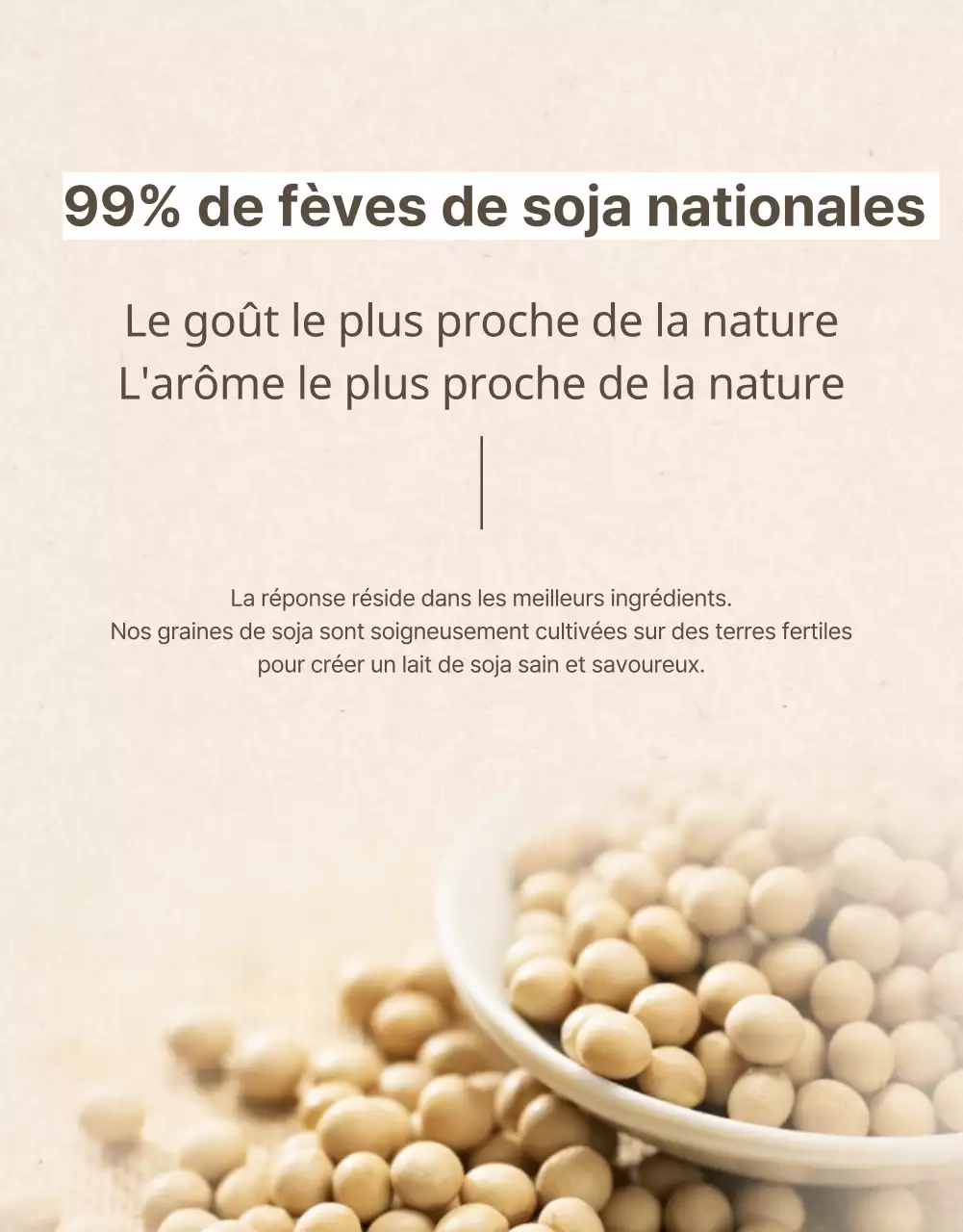 Promotion du lait de soja dans un style moderne en beige et kaki
