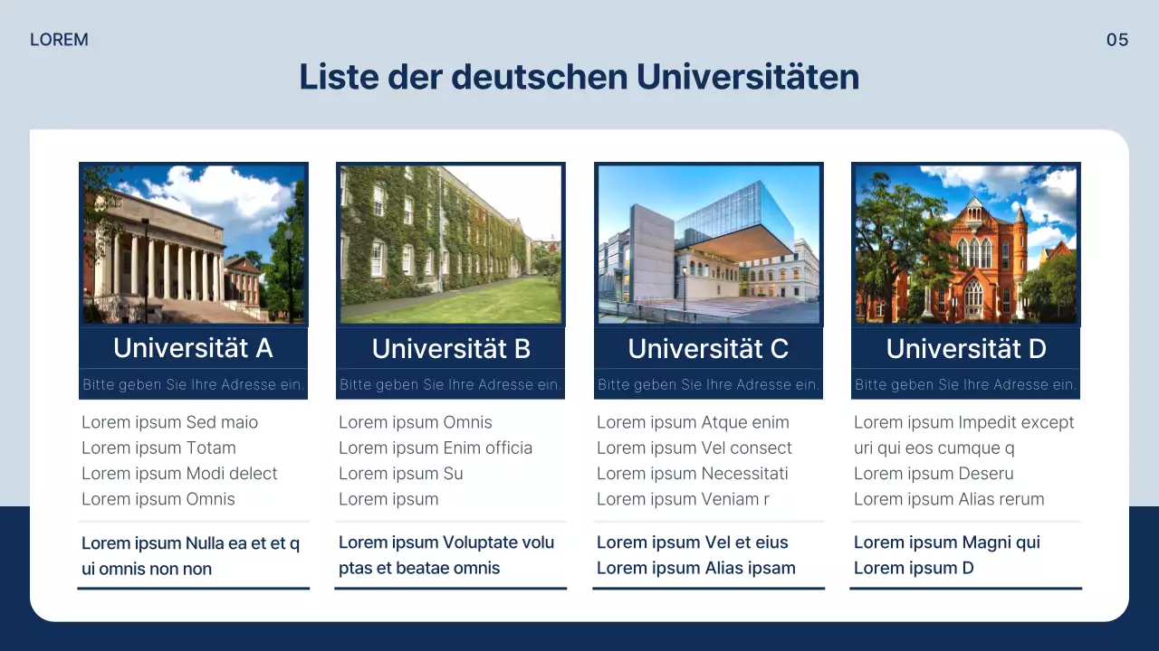 Ein einfacher Prospekt für ein Auslandsstudium in Marineblau und Grau