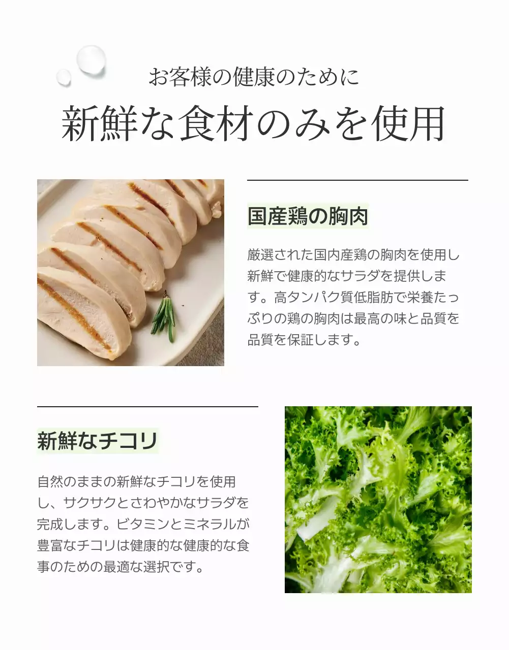 緑 シンプル サラダ メニュー 詳細ページ