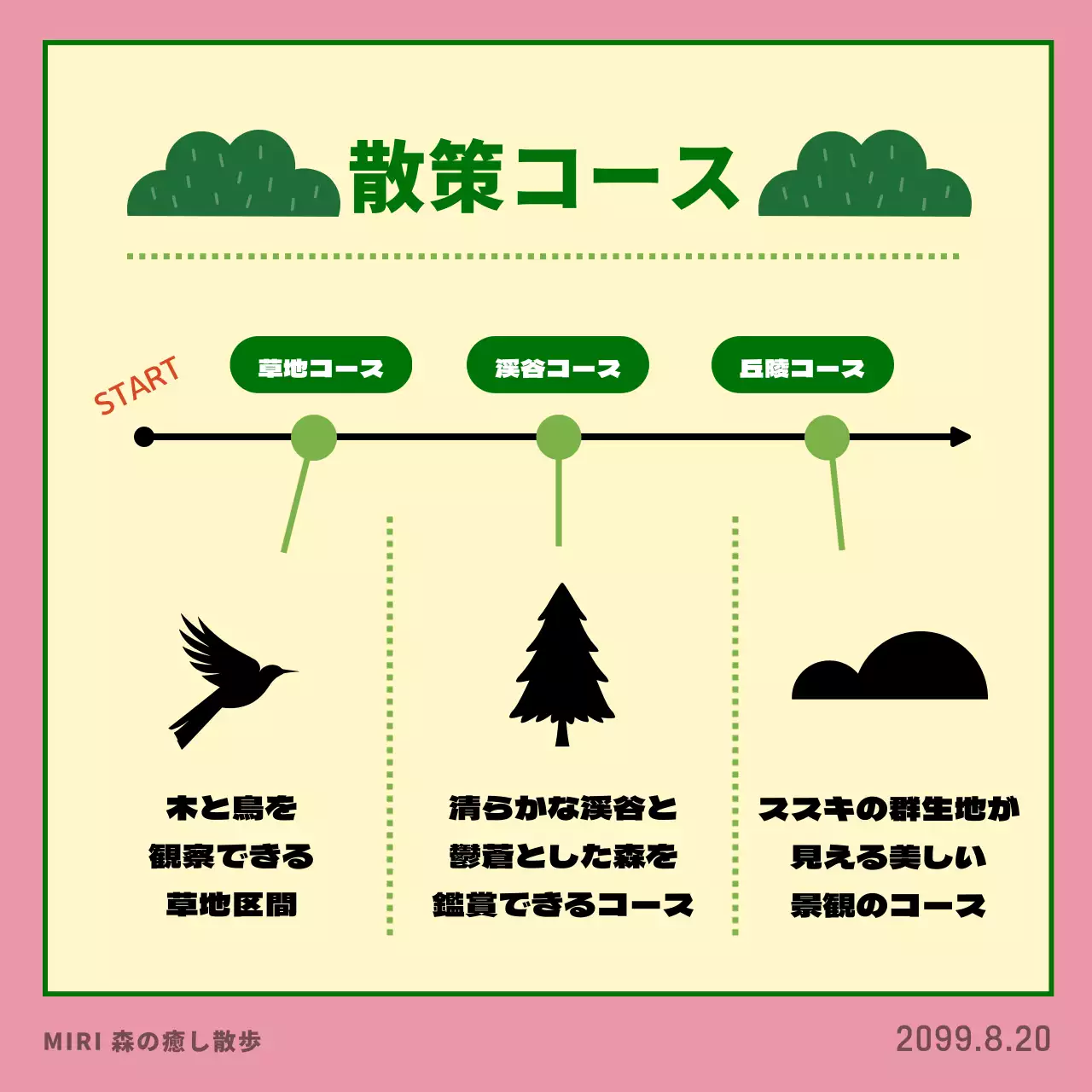 ピンク色のかわいいお散歩プログラムのPR