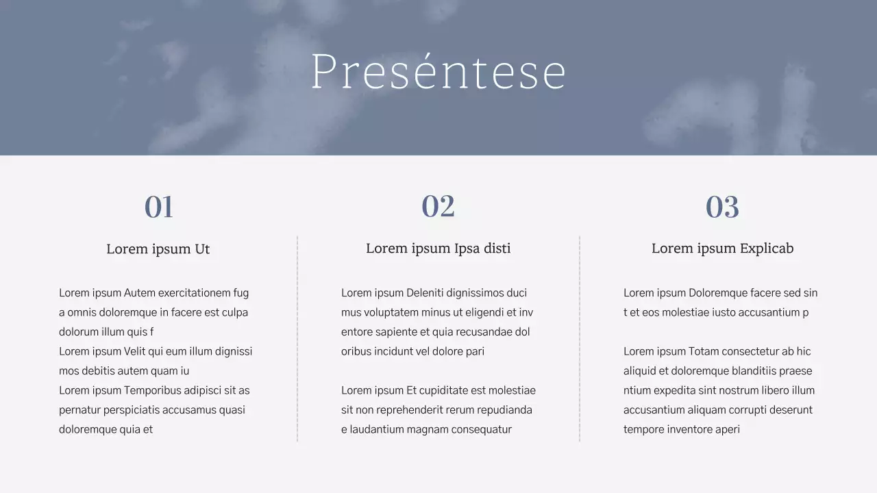 Cartera de trabajo profesional azul marino