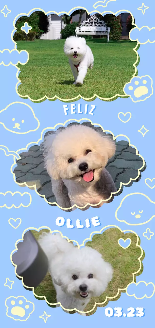 Molduras para cães giros com um toque de doodle