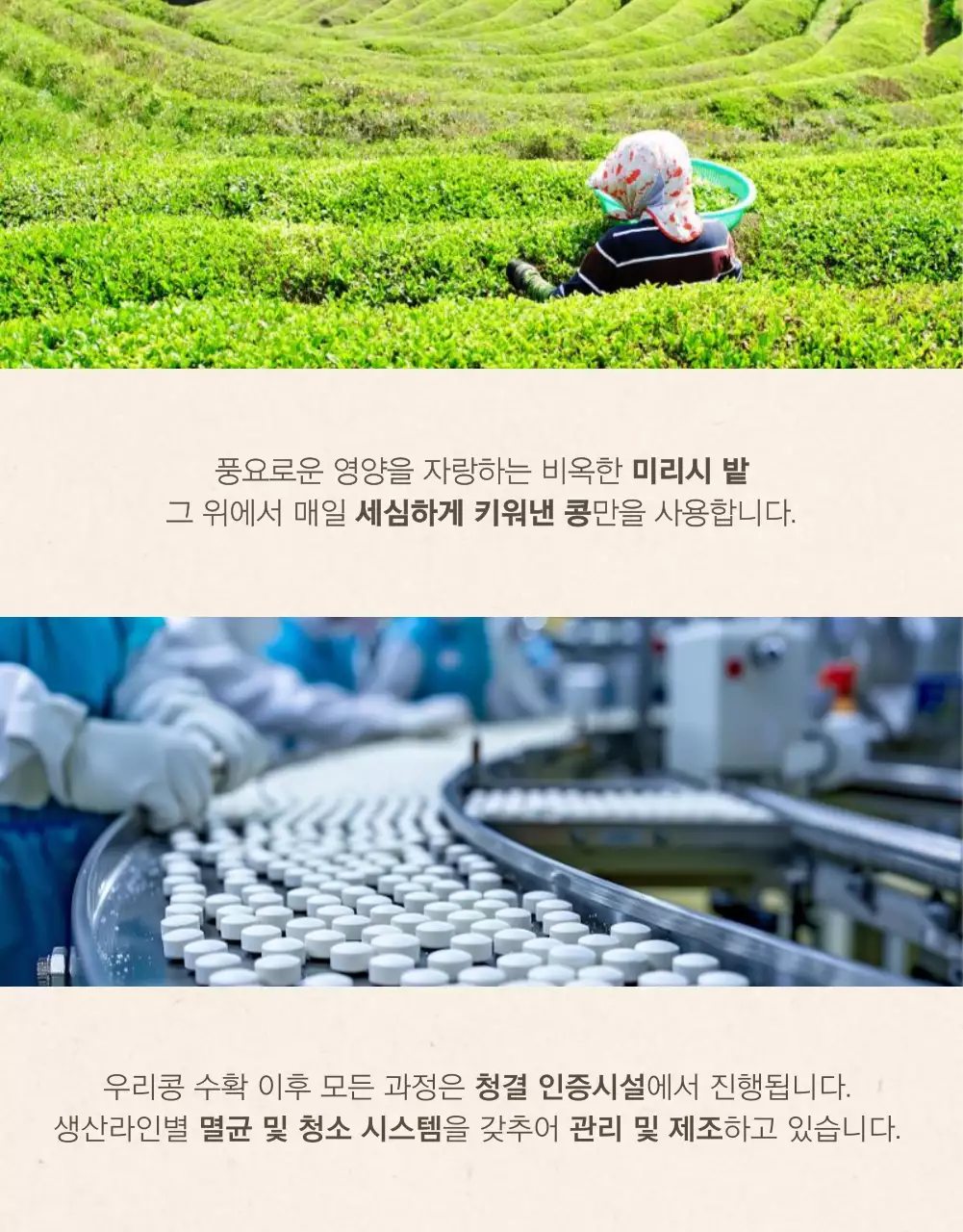 베이지색과 카키색의 모던 스타일 두유 홍보