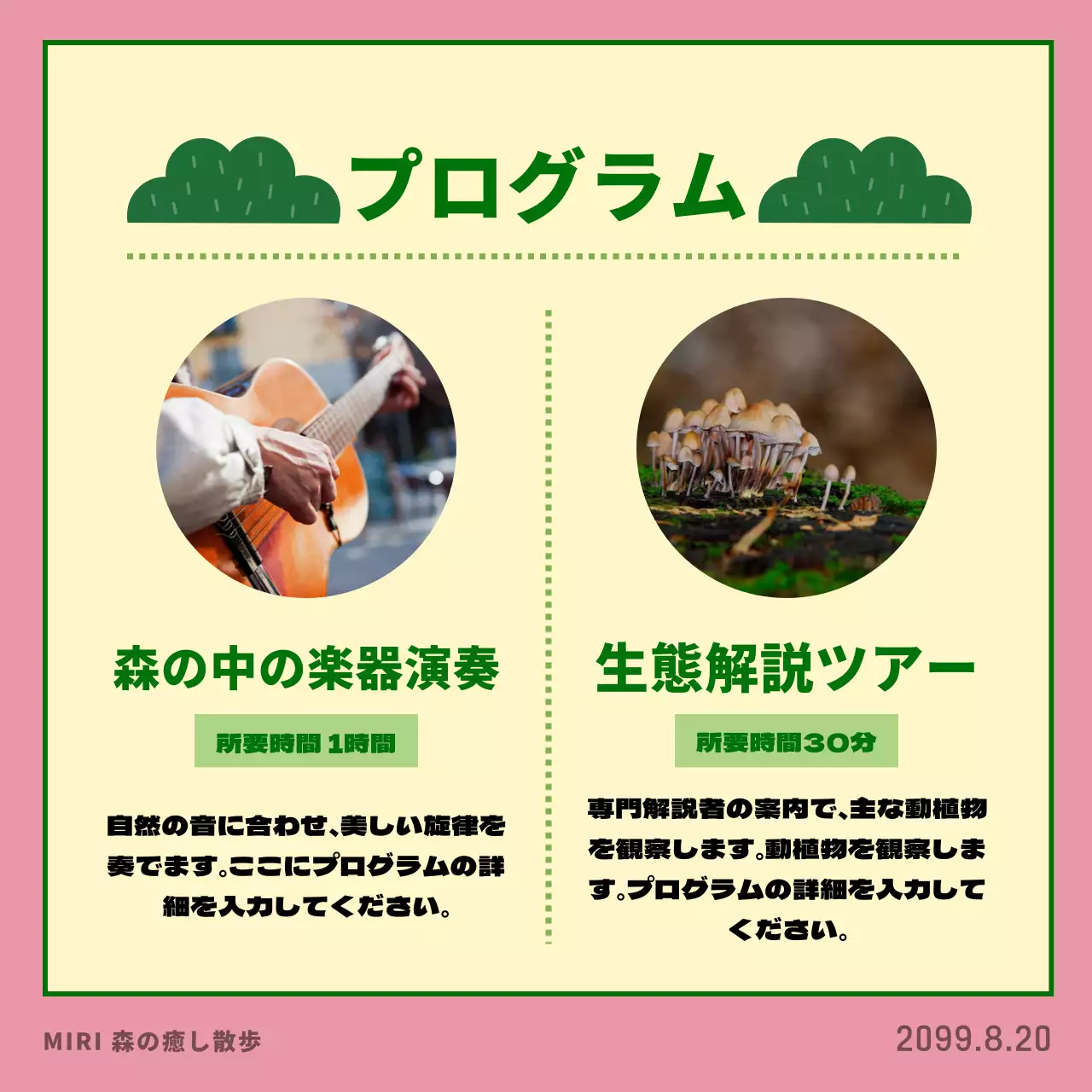 ピンク色のかわいいお散歩プログラムのPR