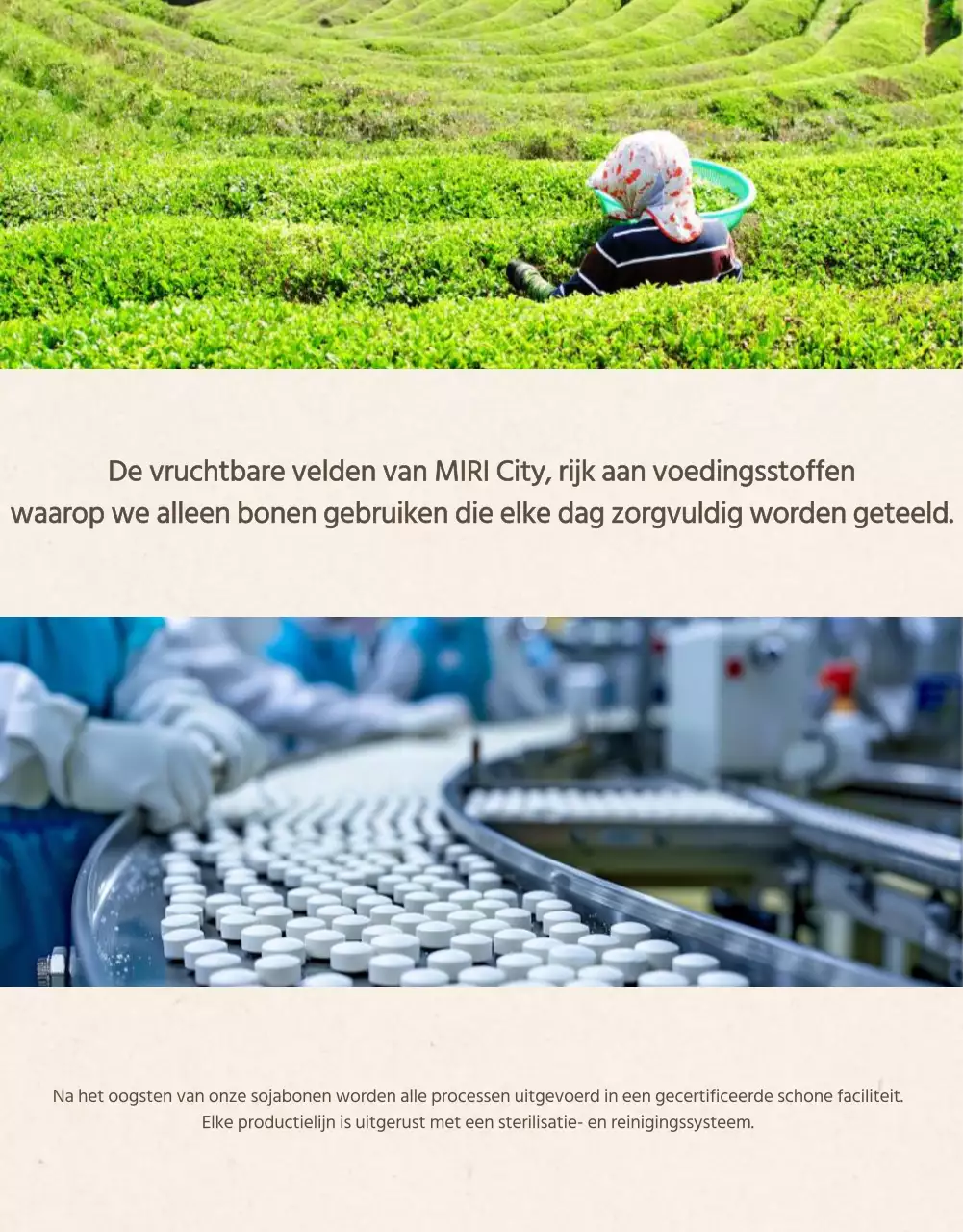 Sojamelk promoten in een moderne stijl in beige en kaki