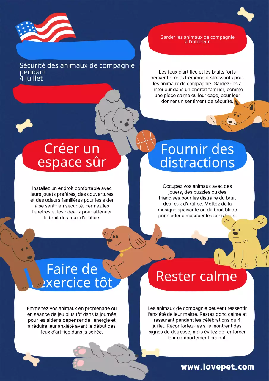 Conseils rouges et bleus pour votre ami à quatre pattes