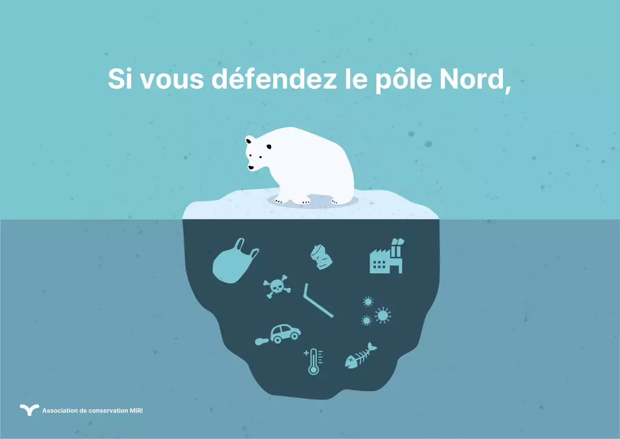 Affiche tridimensionnelle sur la conservation de l'ours polaire avec design plat