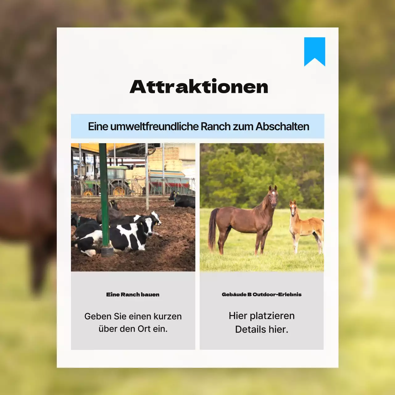 Bewerben Sie nahe gelegene Attraktionen in einem einfachen Farbschema aus Weiß und Hellblau