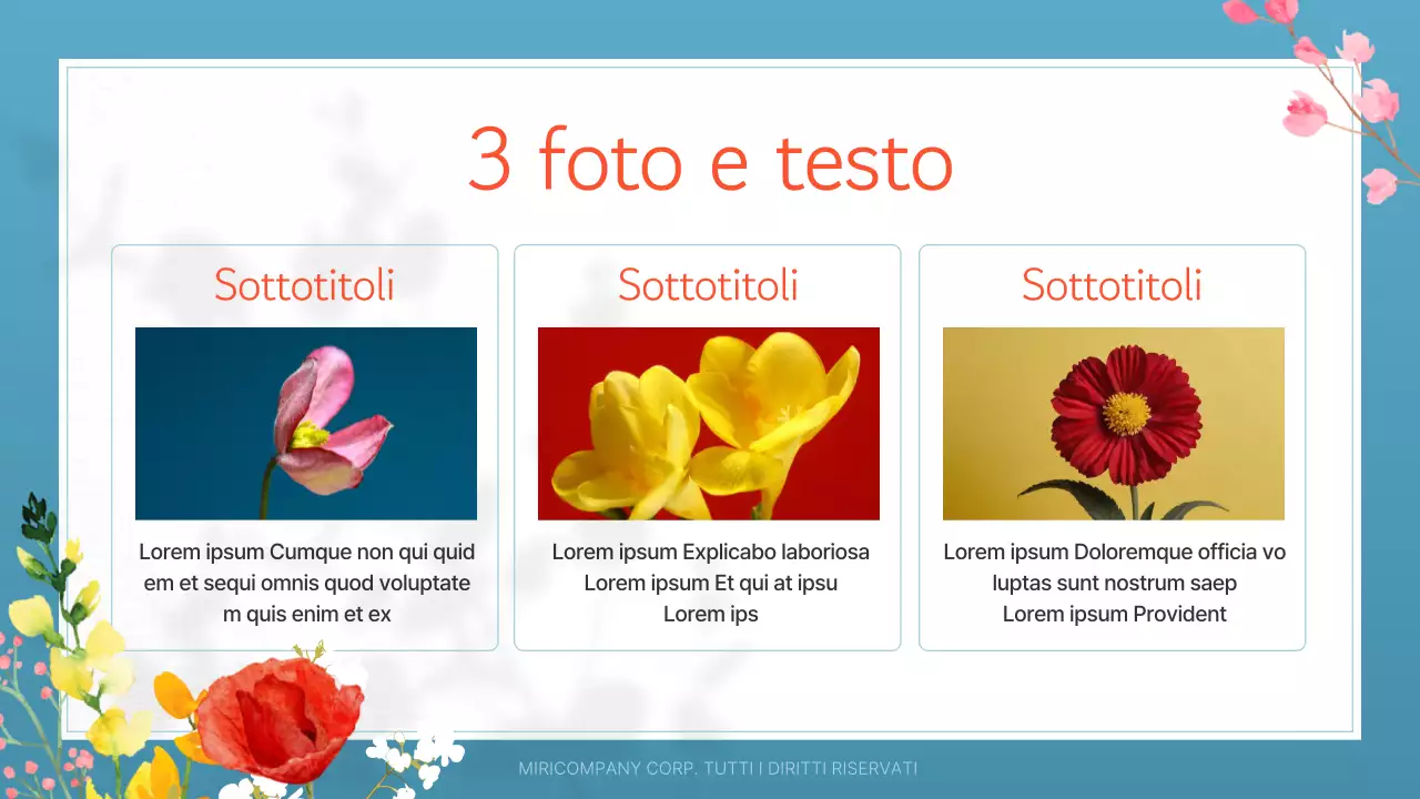 Guida ai bei fiori estivi in bianco e arancione