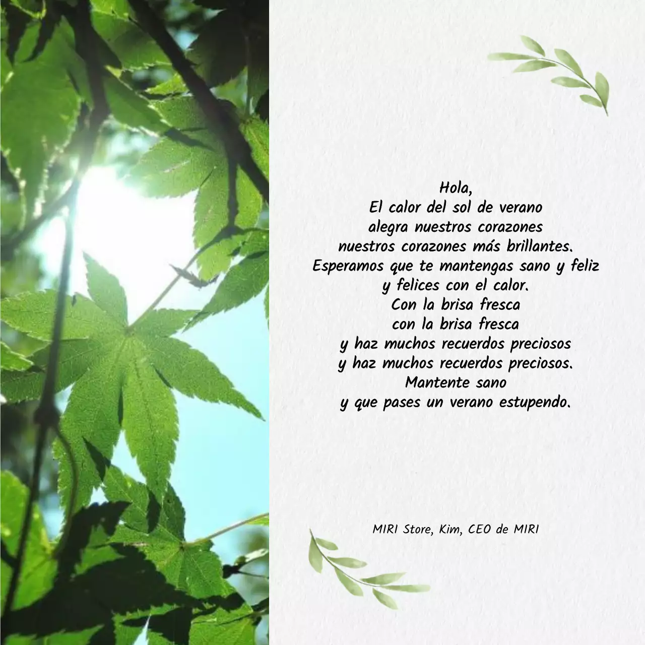 Colección de felicitaciones de verano con caligrafía sencilla en azul claro y azul