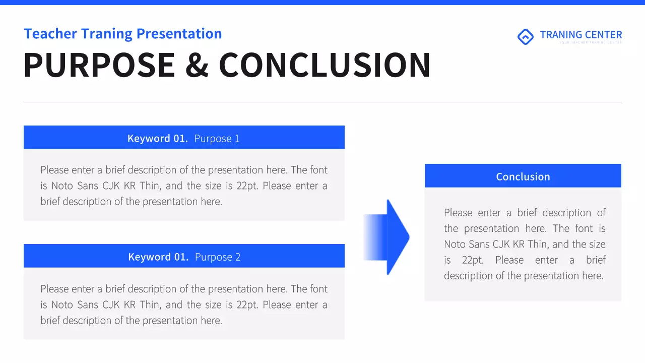 Blue Professional Teacher Guide Presentation