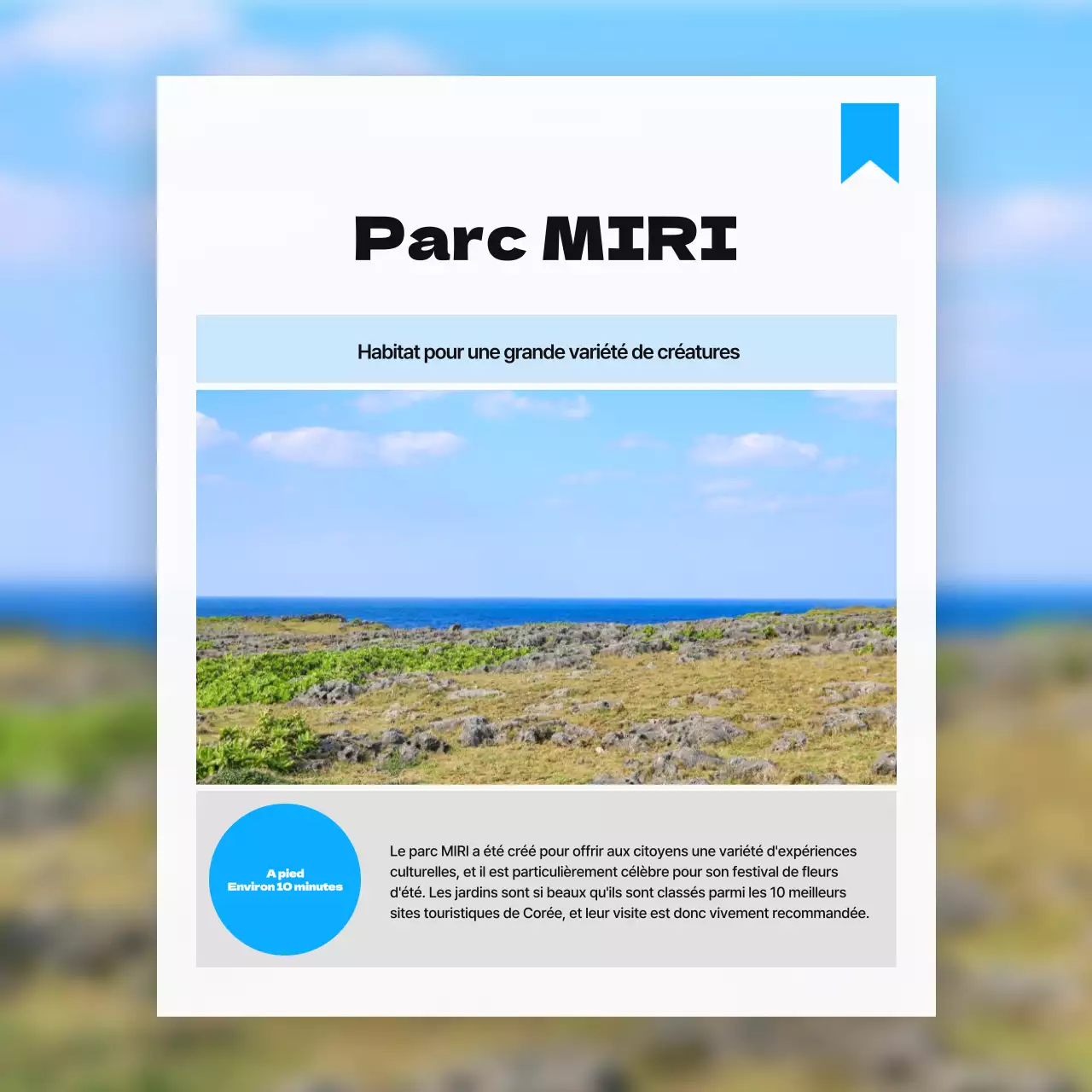 Promouvoir les attractions à proximité en utilisant une palette de couleurs simples (blanc et bleu clair).