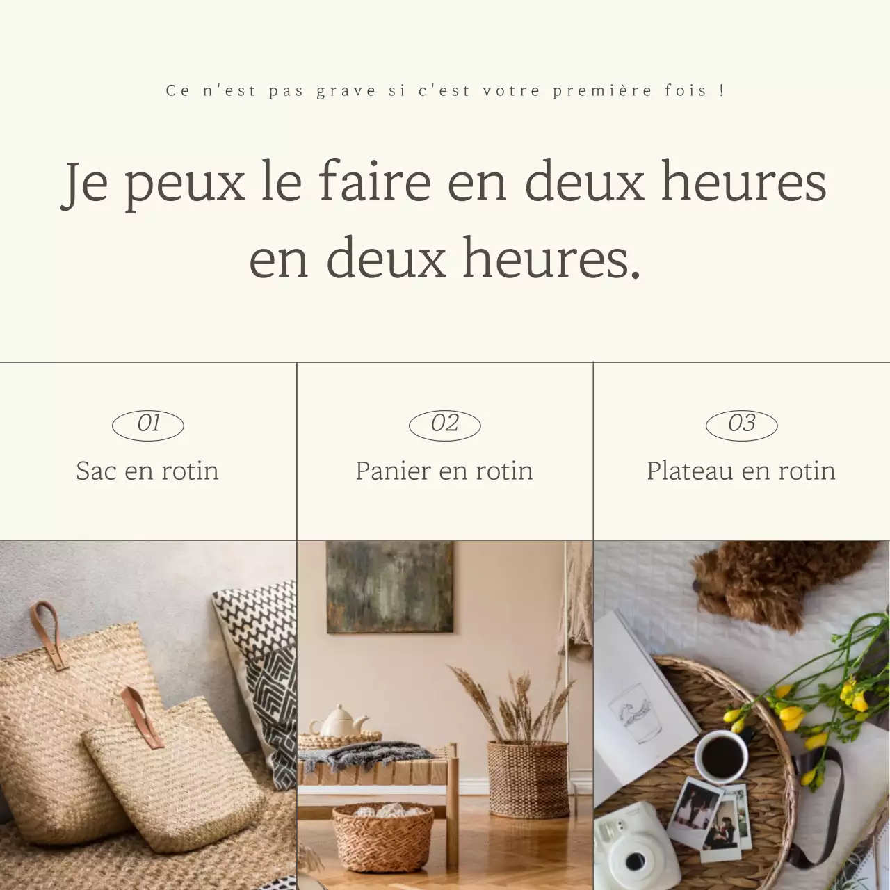 Annonce d'un cours luxueux d'une journée sur l'ivoire et le marron