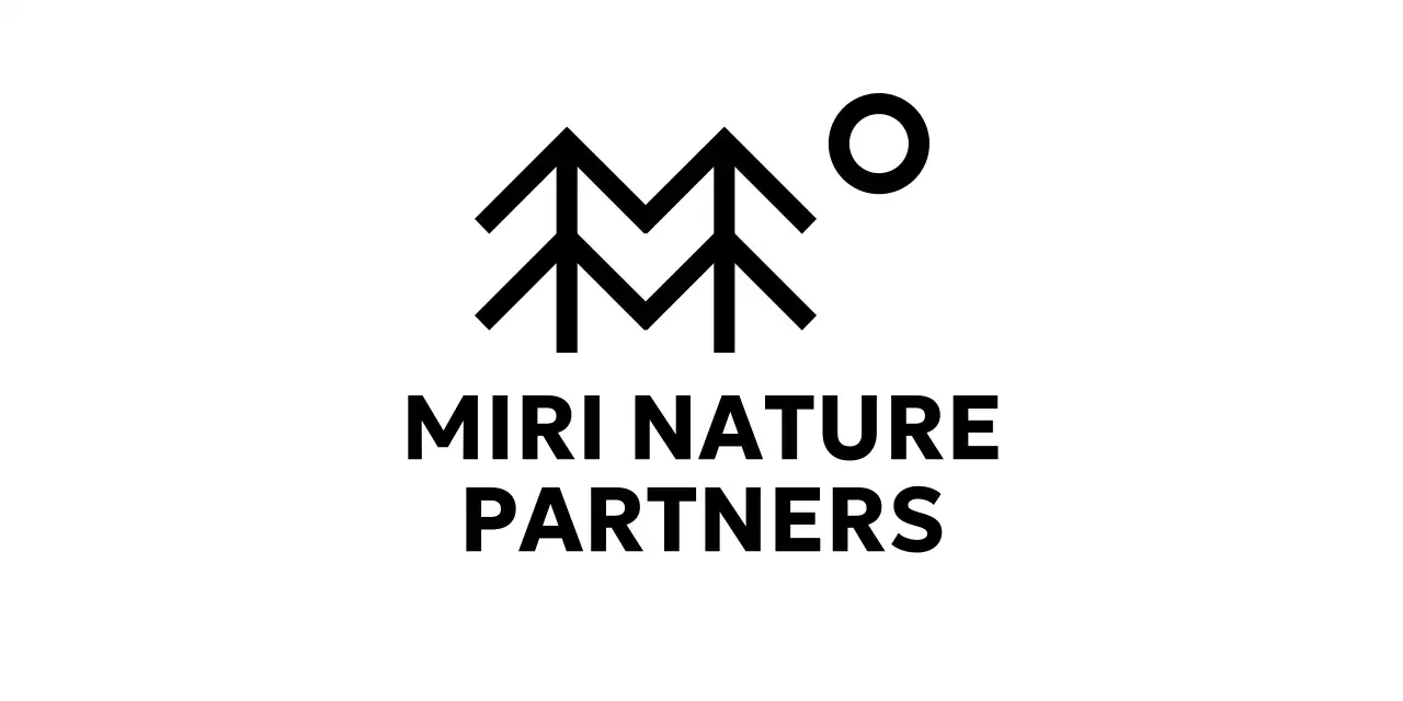 Conservation simple de la nature avec des illustrations d'arbres