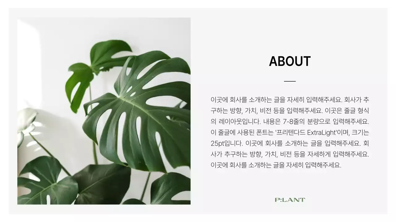 초록과 흰색의 심플한 브랜드 회사 소개서