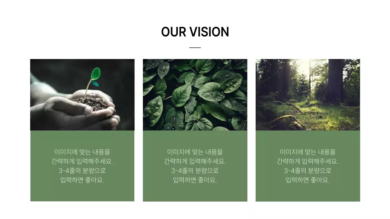 초록과 흰색의 심플한 브랜드 회사 소개서