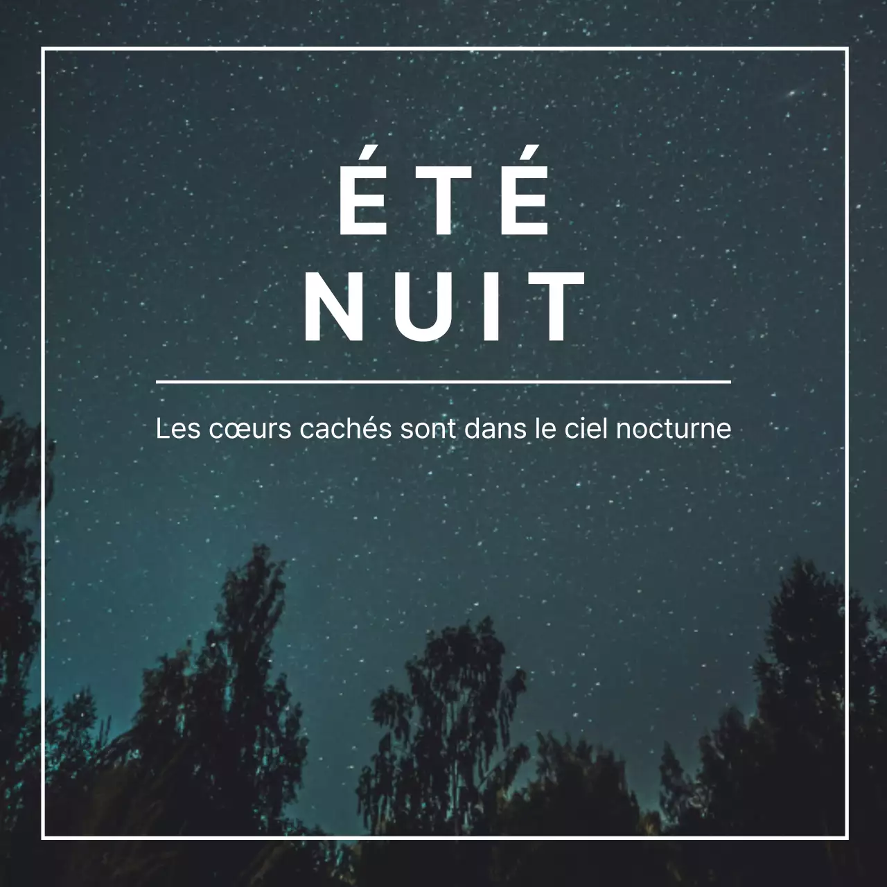 Un festival moderne d'une nuit d'été en noir et blanc post