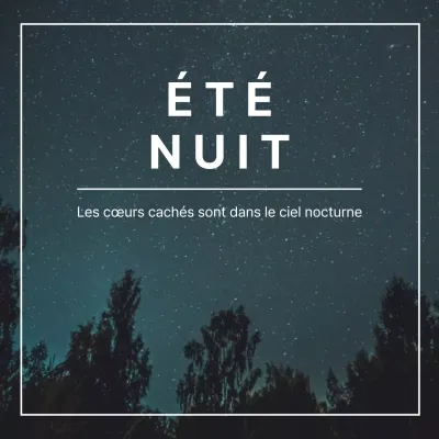 Un festival moderne d'une nuit d'été en noir et blanc post