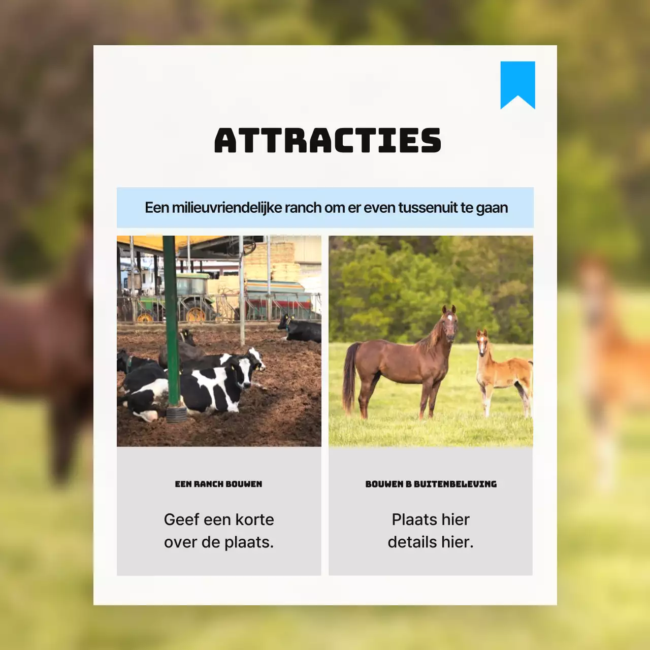 Promoot attracties in de buurt in een eenvoudig wit en lichtblauw kleurenschema