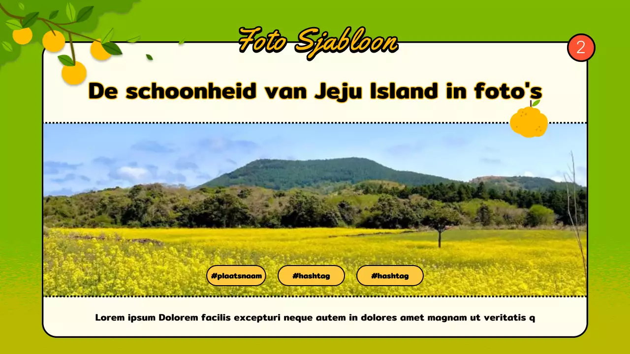 Een gids voor de felgroene en oranje buurten van Jeju