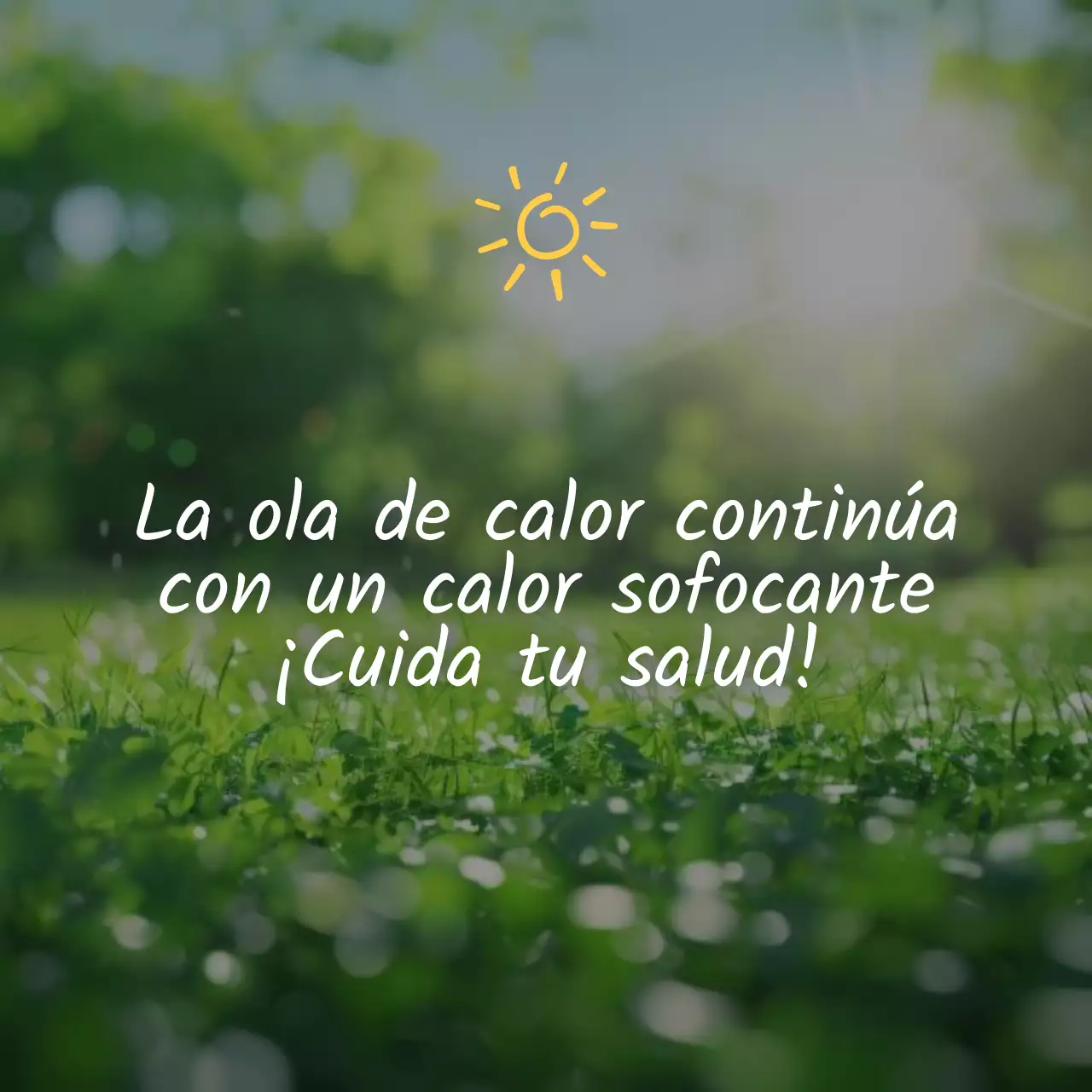 Colección de felicitaciones de verano con caligrafía sencilla en azul claro y azul