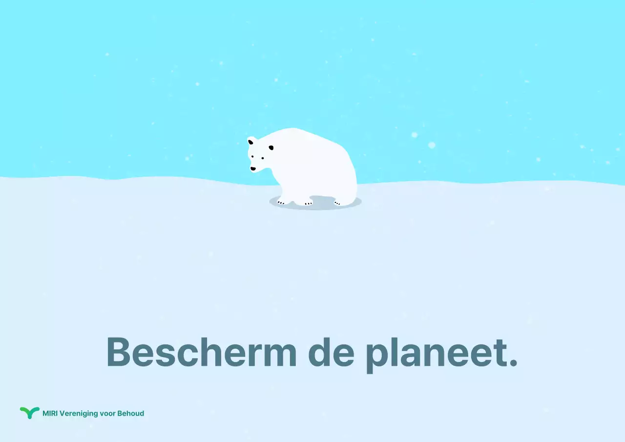 Berenbescherming driedimensionale poster met plat ontwerp