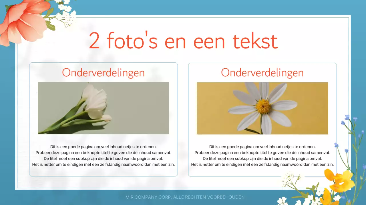 Een gids voor mooie zomerbloemen in wit en oranje