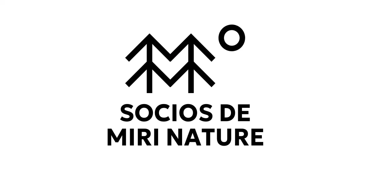 Conservación sencilla de la naturaleza con ilustraciones de árboles