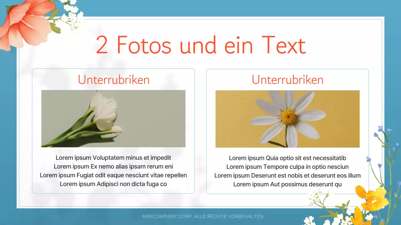 Ein Leitfaden für schöne Sommerblumen in Weiß und Orange