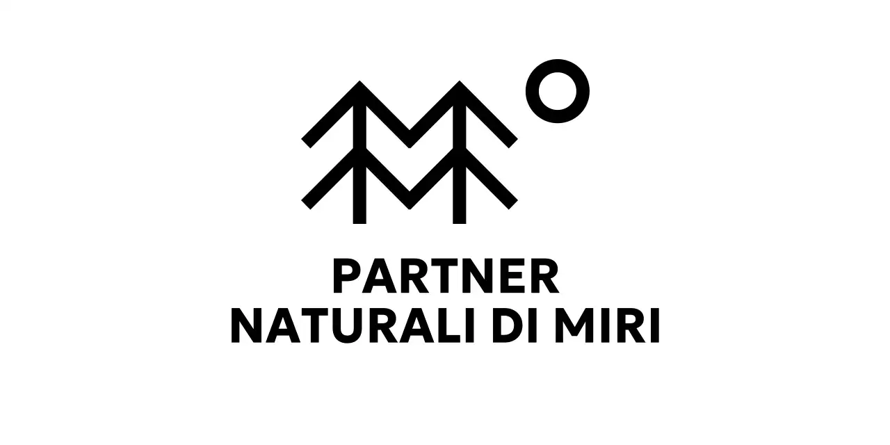 Semplice conservazione della natura con illustrazioni di alberi