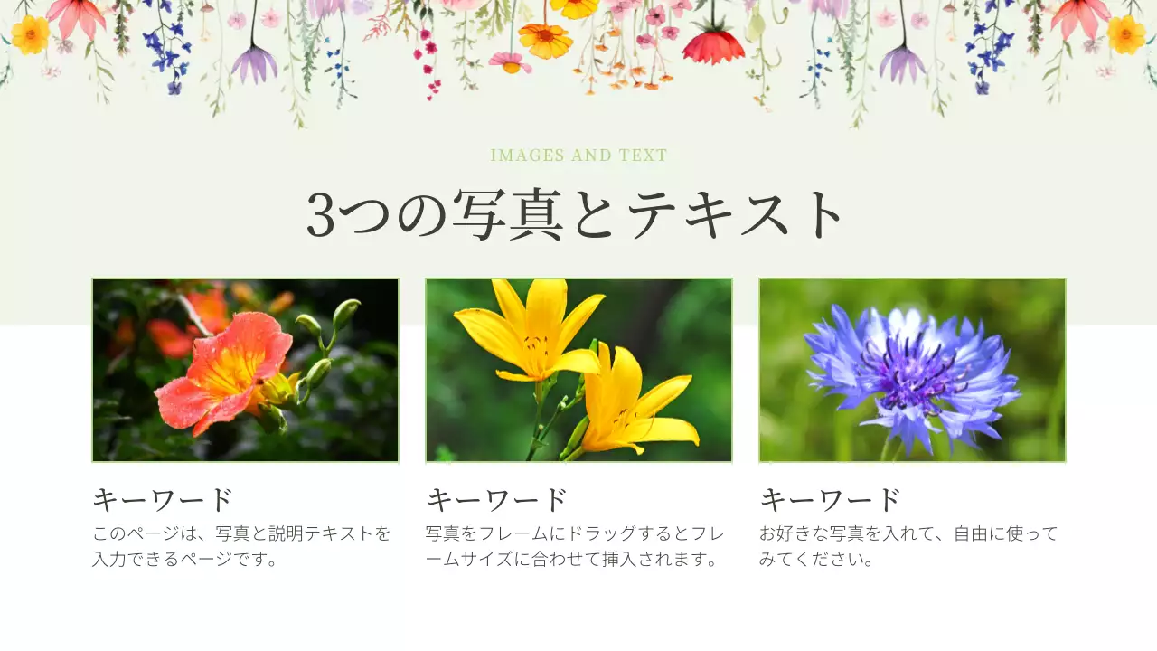 カラフル かわいい 花 プレゼンテーション