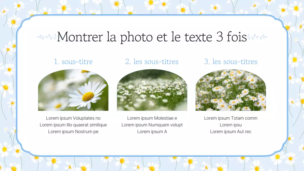 Présentation de simples fleurs d'été en bleu clair et jaune