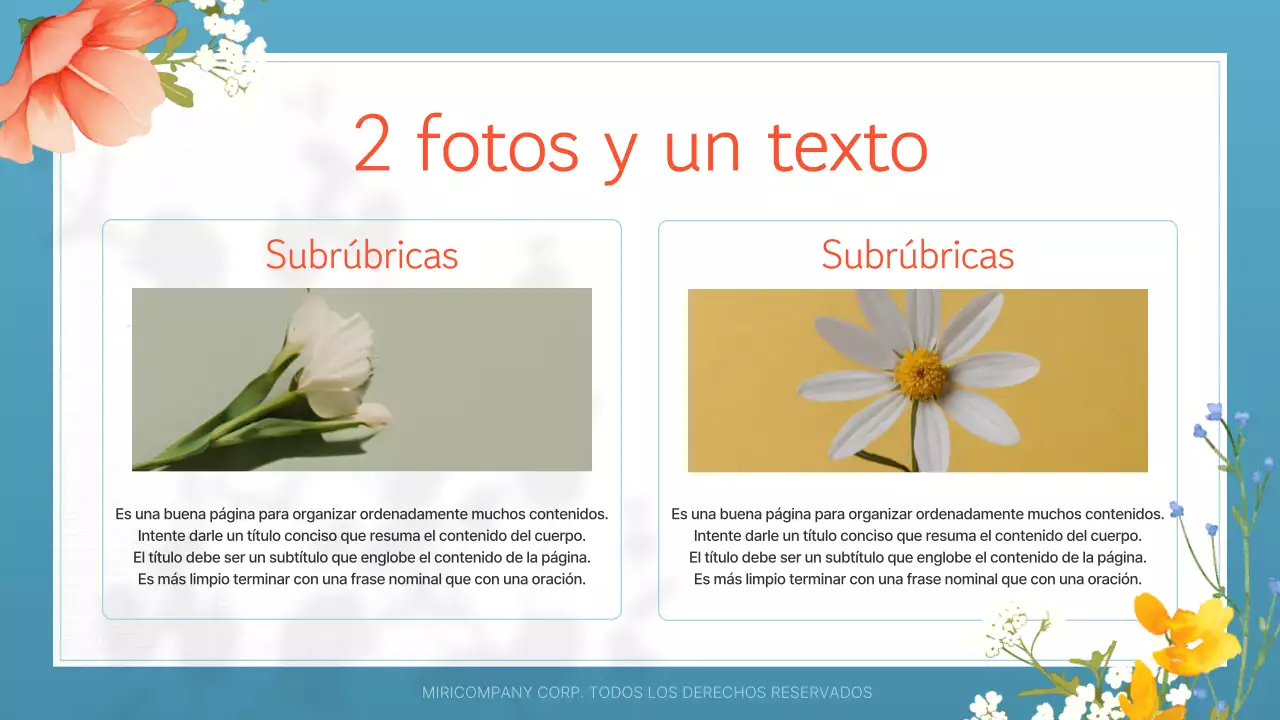 Guía de bonitas flores de verano en blanco y naranja