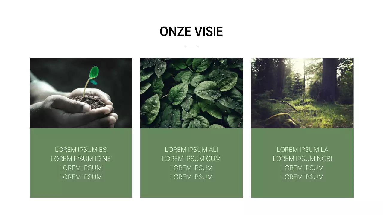 Een eenvoudig groen-wit bedrijfsprofiel met een merknaam