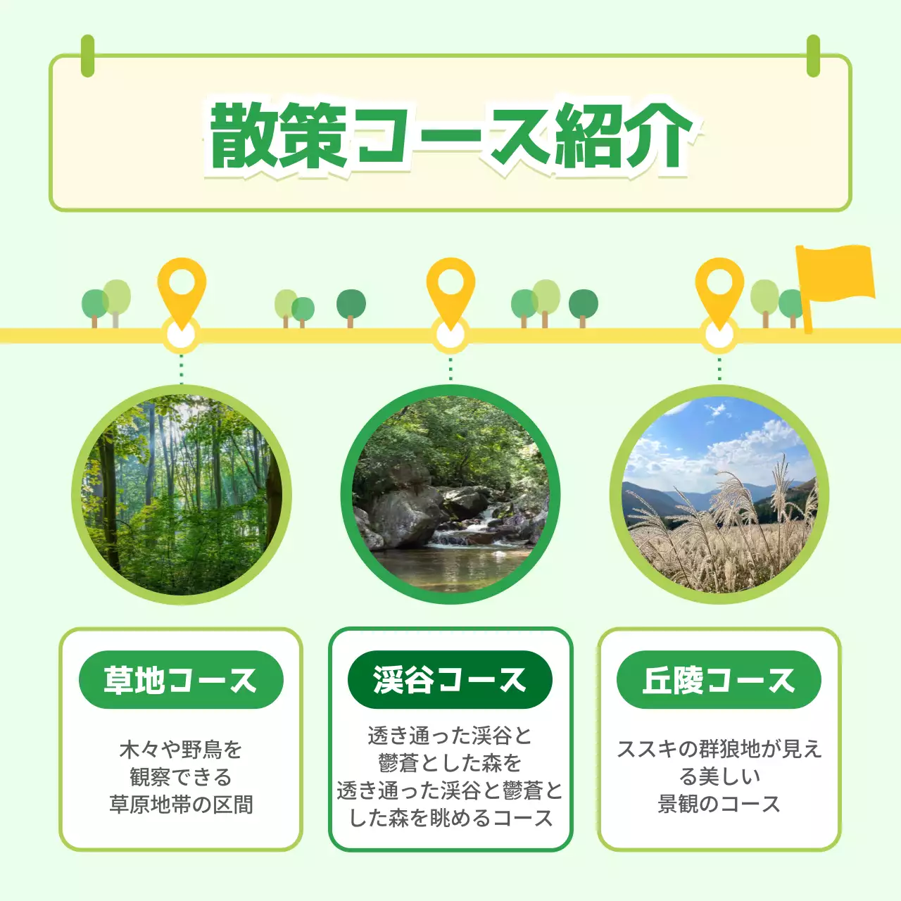 緑 ナチュラル プログラム 案内 Instagram カルーセル