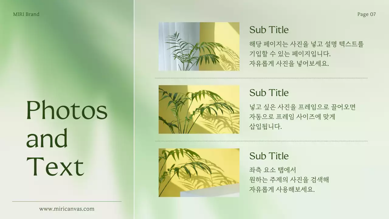 초록색과 연두색의 심플한 소상공인 브랜드 소개서