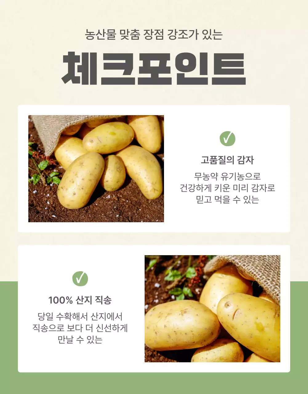 초록과 연두의 자연의 건강한 농산물 감자 체크포인트 판매 홍보