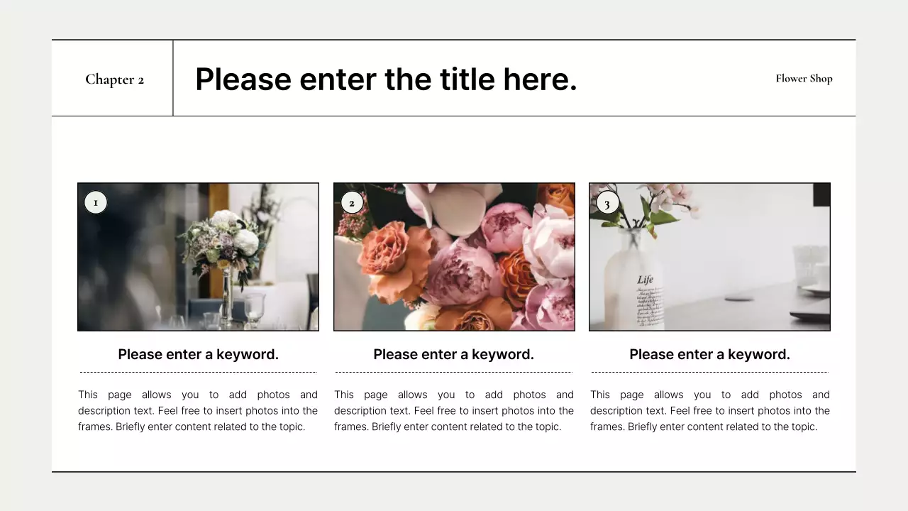 Apresentação da marca Green Elegant