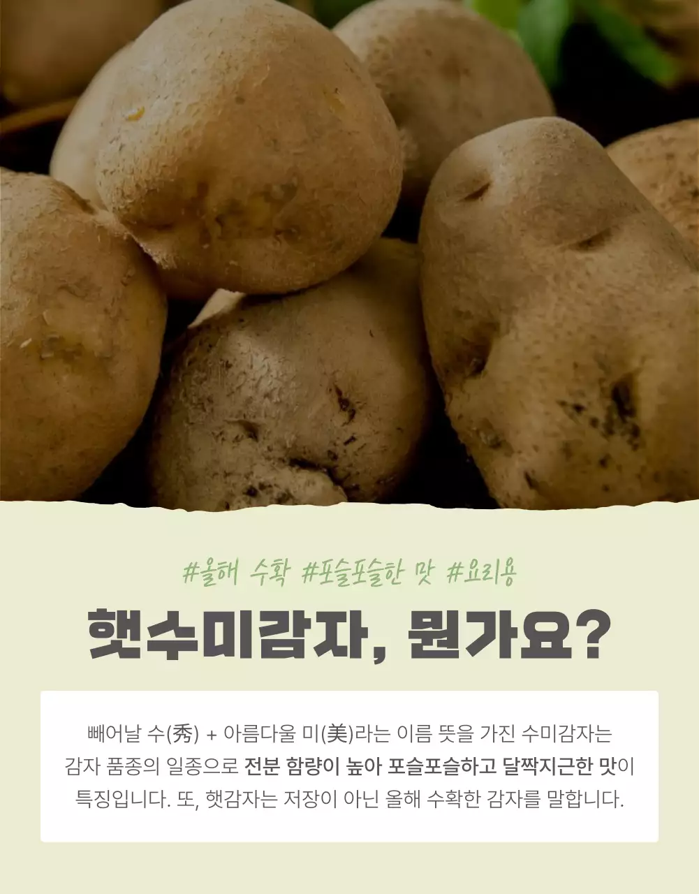 초록과 연두의 자연의 건강한 농산물 감자 인트로 판매 홍보