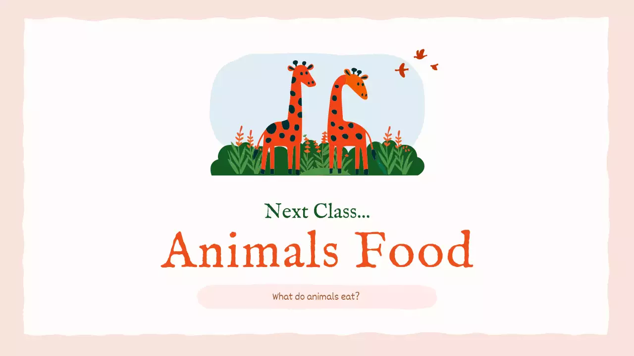 오렌지 심플 애니멀 가이드 프레젠테이션