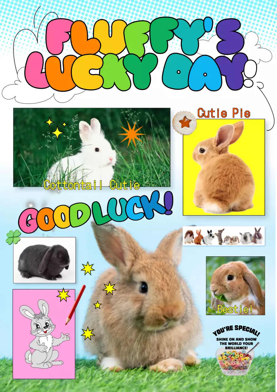 Rainbow Playful Rabbits Poster
