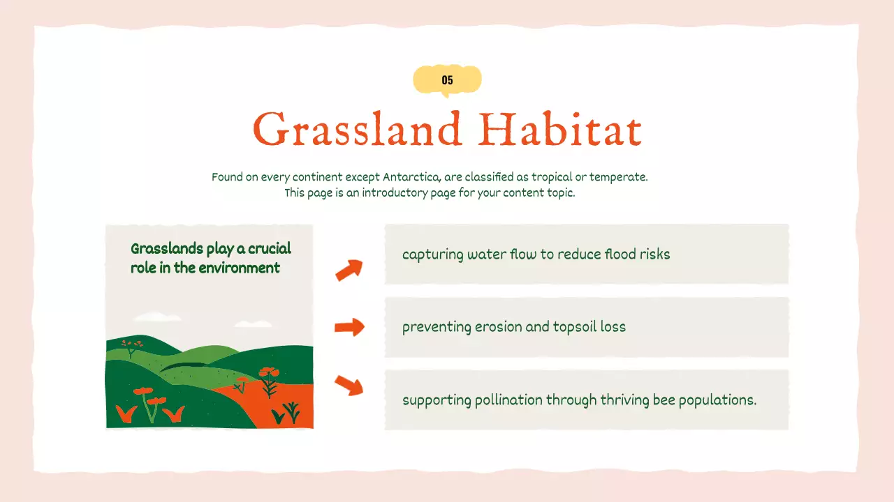 오렌지 심플 애니멀 가이드 프레젠테이션