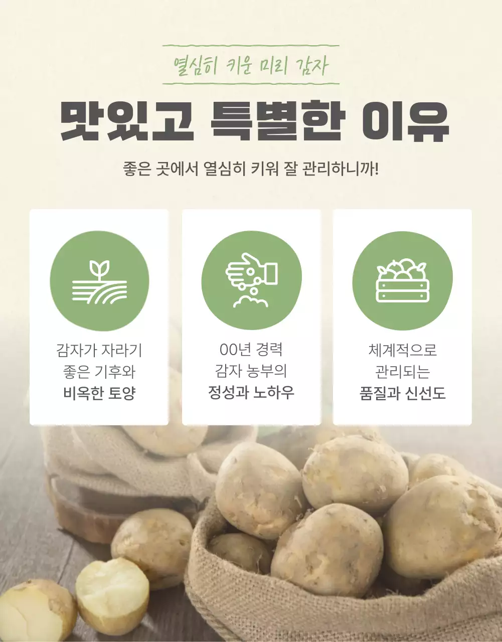 초록과 연두의 자연의 건강한 농산물 감자 체크포인트 판매 홍보
