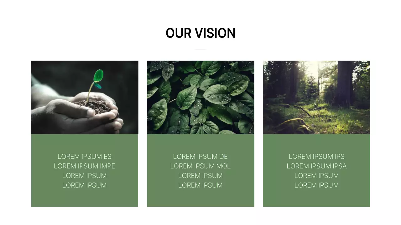 Un profil d'entreprise simple, à l'image de la marque, en vert et blanc