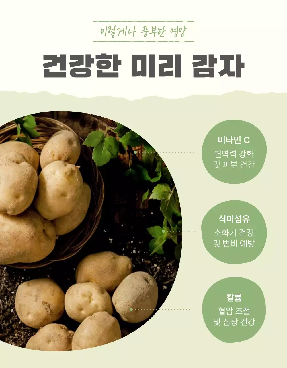 초록과 연두의 자연의 건강한 농산물 감자 옵션과 디테일 홍보