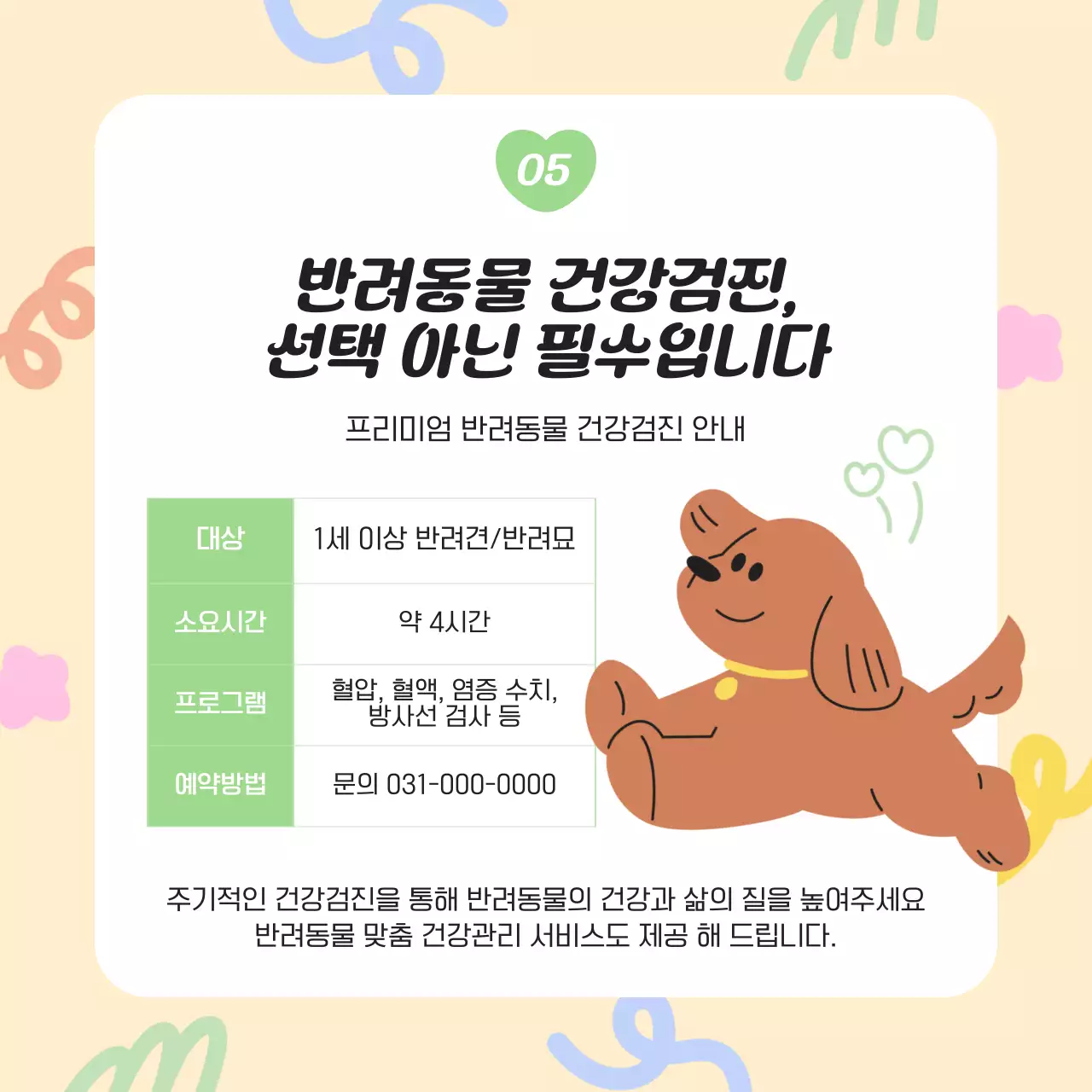 노랑과 하늘색의 아기자기한 반려동물 건강관리 정보