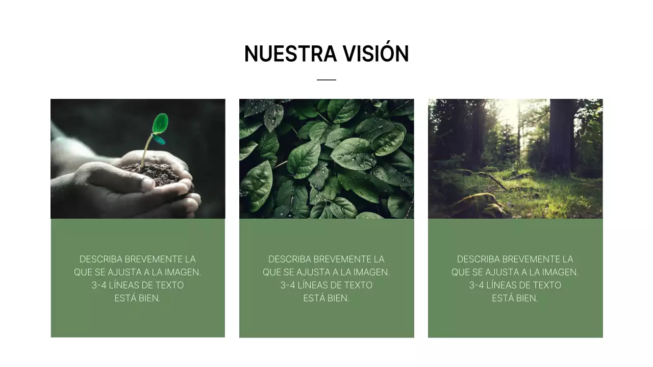 Un perfil de empresa sencillo, de marca, verde y blanco