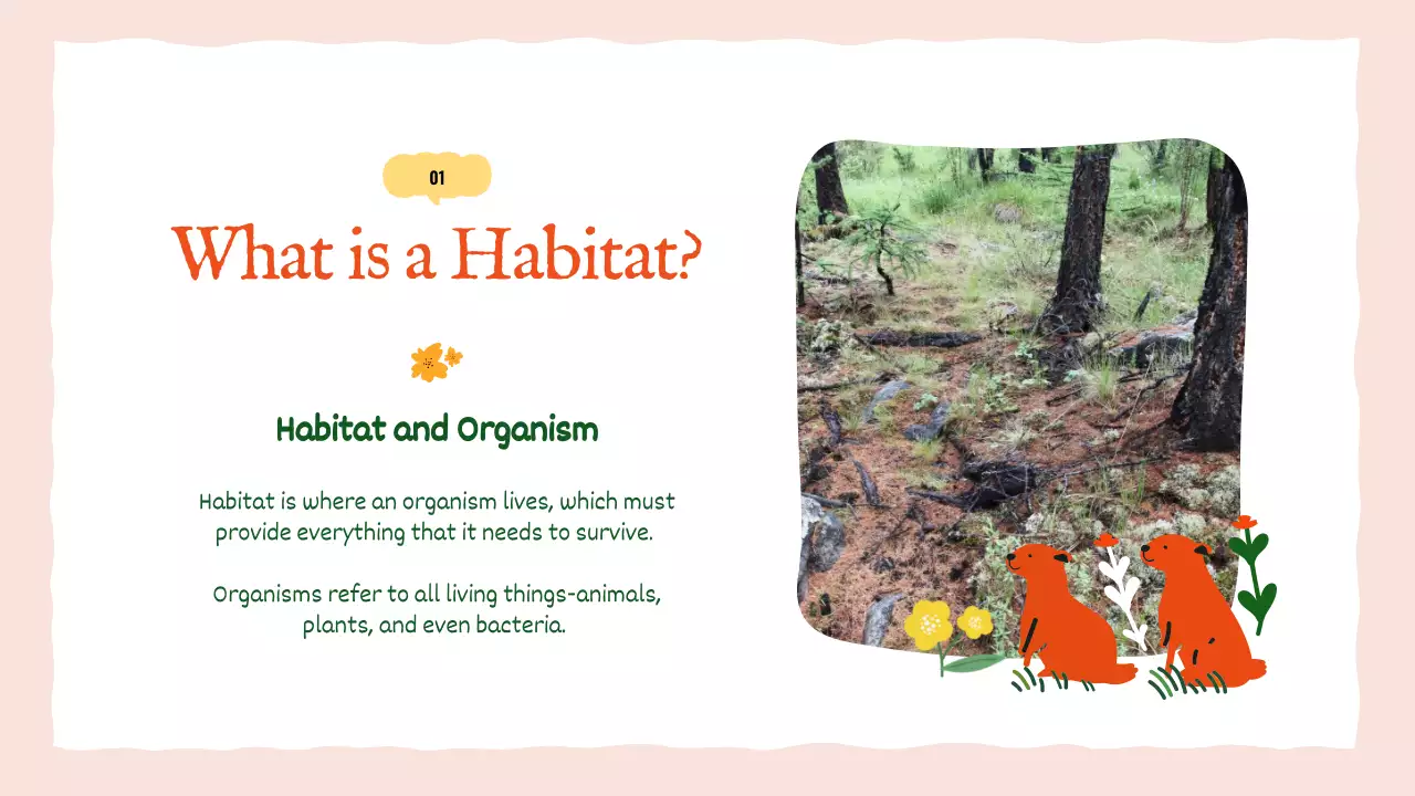 오렌지 심플 애니멀 가이드 프레젠테이션